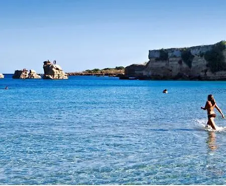بيت ضيافة Toro